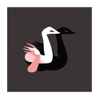 Black swan (Print Only)