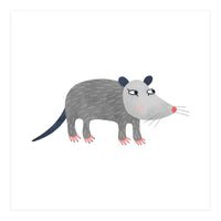 Possum (Print Only)