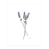 Lavender (Print Only) thumbnail
