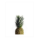 21 (Print Only) thumbnail