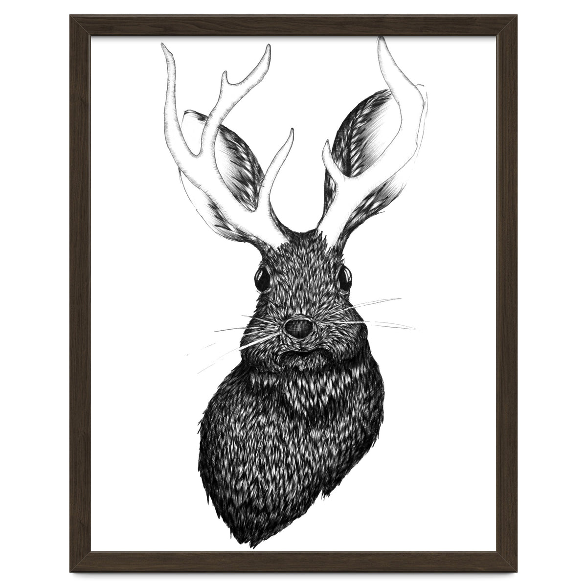 Jackalope