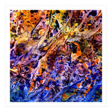 Avalon  (Print Only) thumbnail