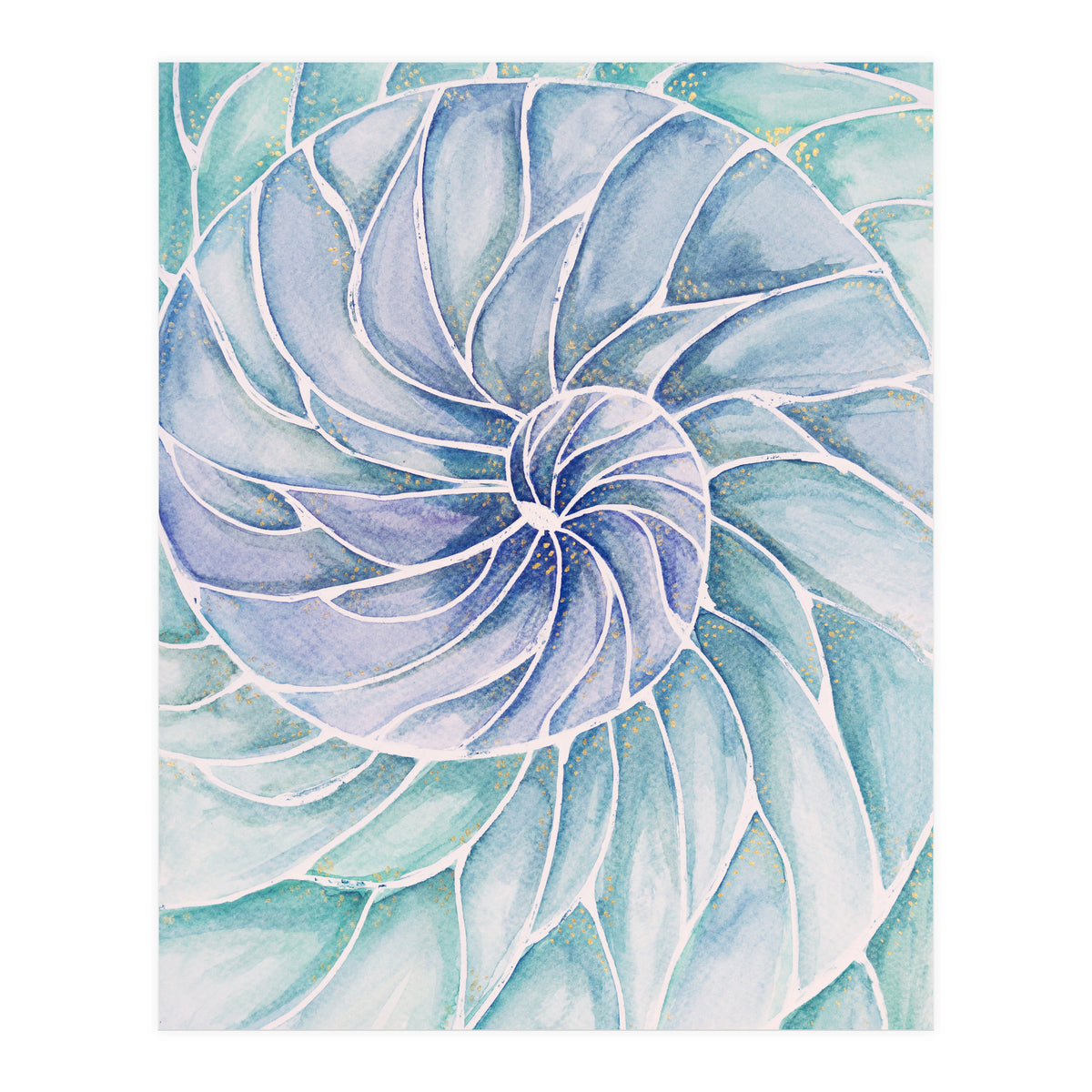 The inside of a shell (Print Only)