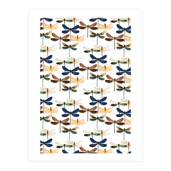 Cc Mle 10213 (Print Only)