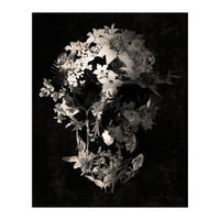 Spring Skull  (Print Only)
