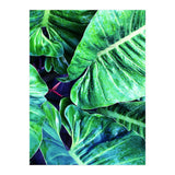 Another Botanical (Print Only) thumbnail