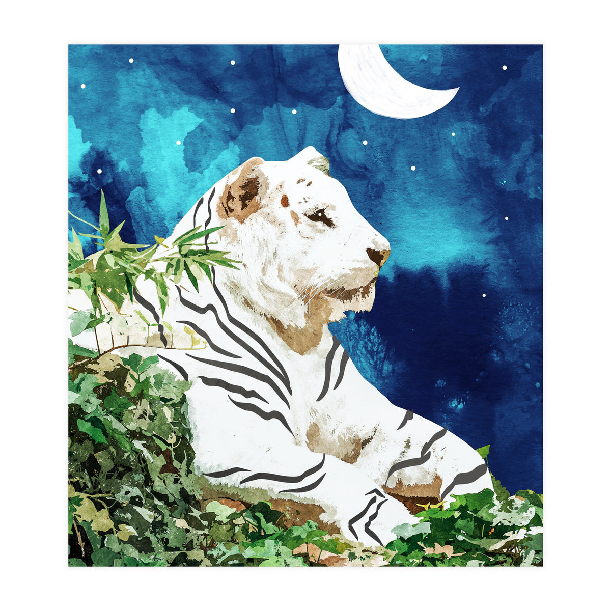 Moonbath (Print Only)