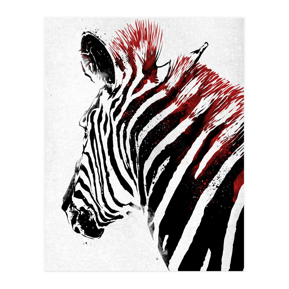 Zebra (Print Only)