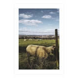 Bucolism 5 (Print Only) thumbnail