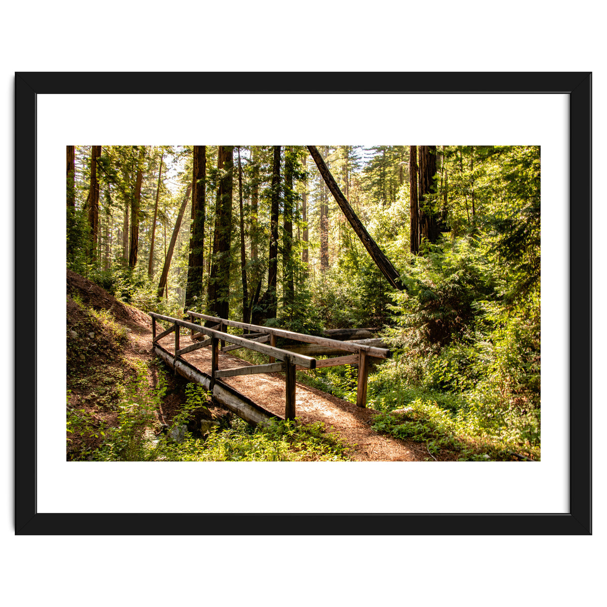 Ewoldsen Trail Bridge