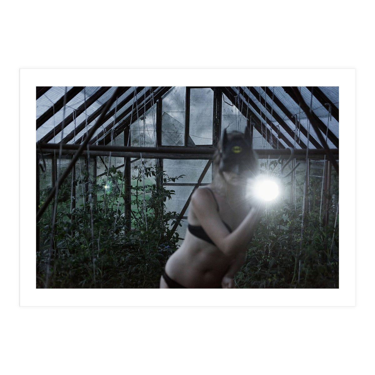 Tomatoes Thief (Print Only)