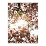 Magnolia tree (Print Only) thumbnail