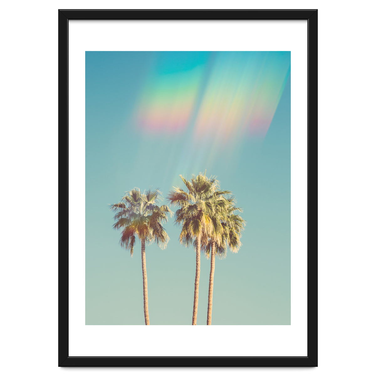 Groovy California Palm Trees