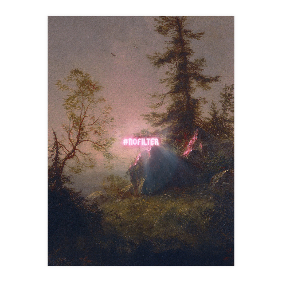 No Filter (Print Only)