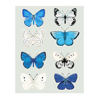 Lepidoptery Study No. 3 (Print Only)
