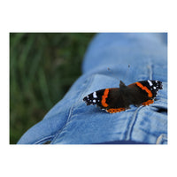 Friendly Butterfly (Print Only)