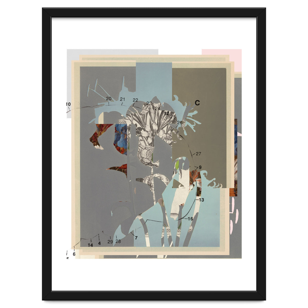 The First Plant · D