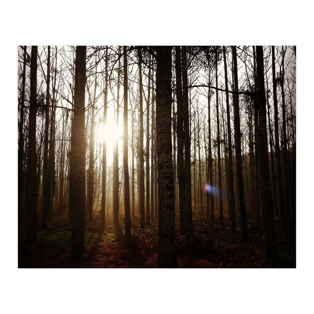 D3 A0 Cf3 E 6509 400 C 926 D 905230 D93 F61 (Print Only)