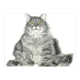 Fatcatred (Print Only) thumbnail