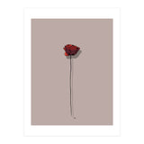 Poppy (Print Only) thumbnail