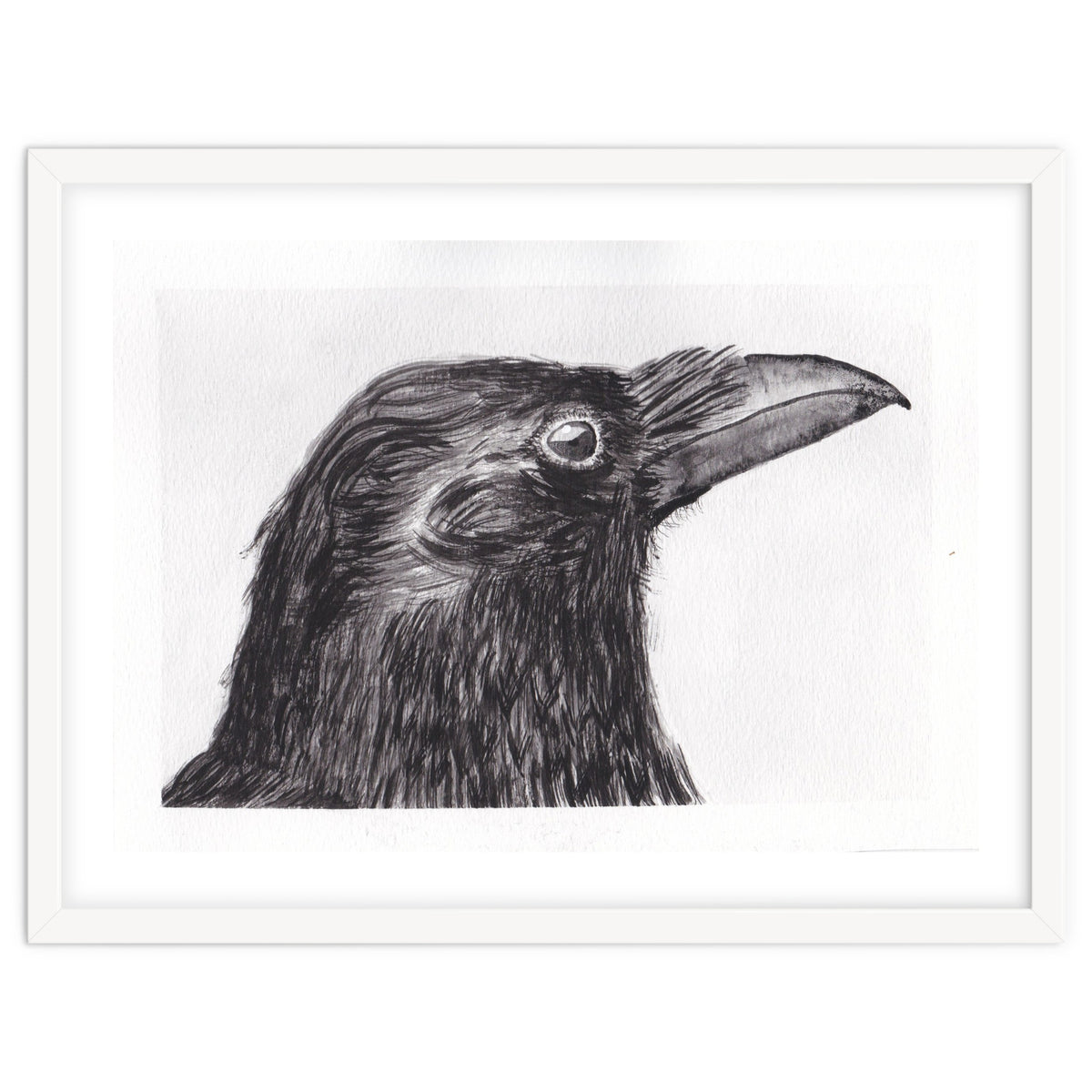 Crow
