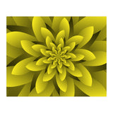 Spring Floral (Print Only) thumbnail