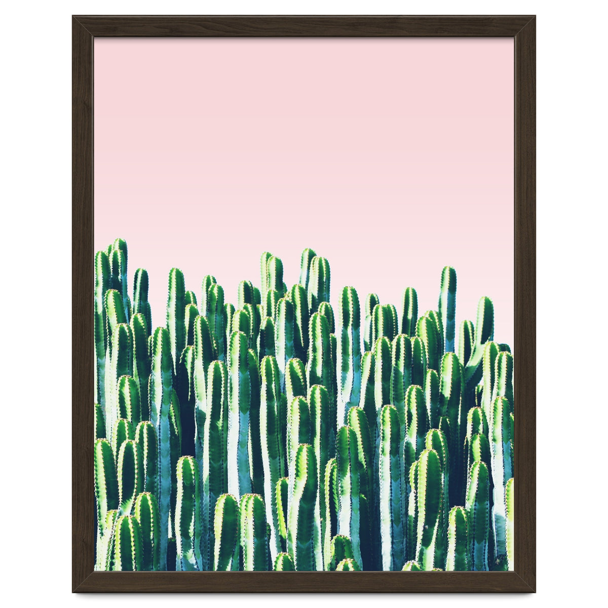 Cactus & Sunset I