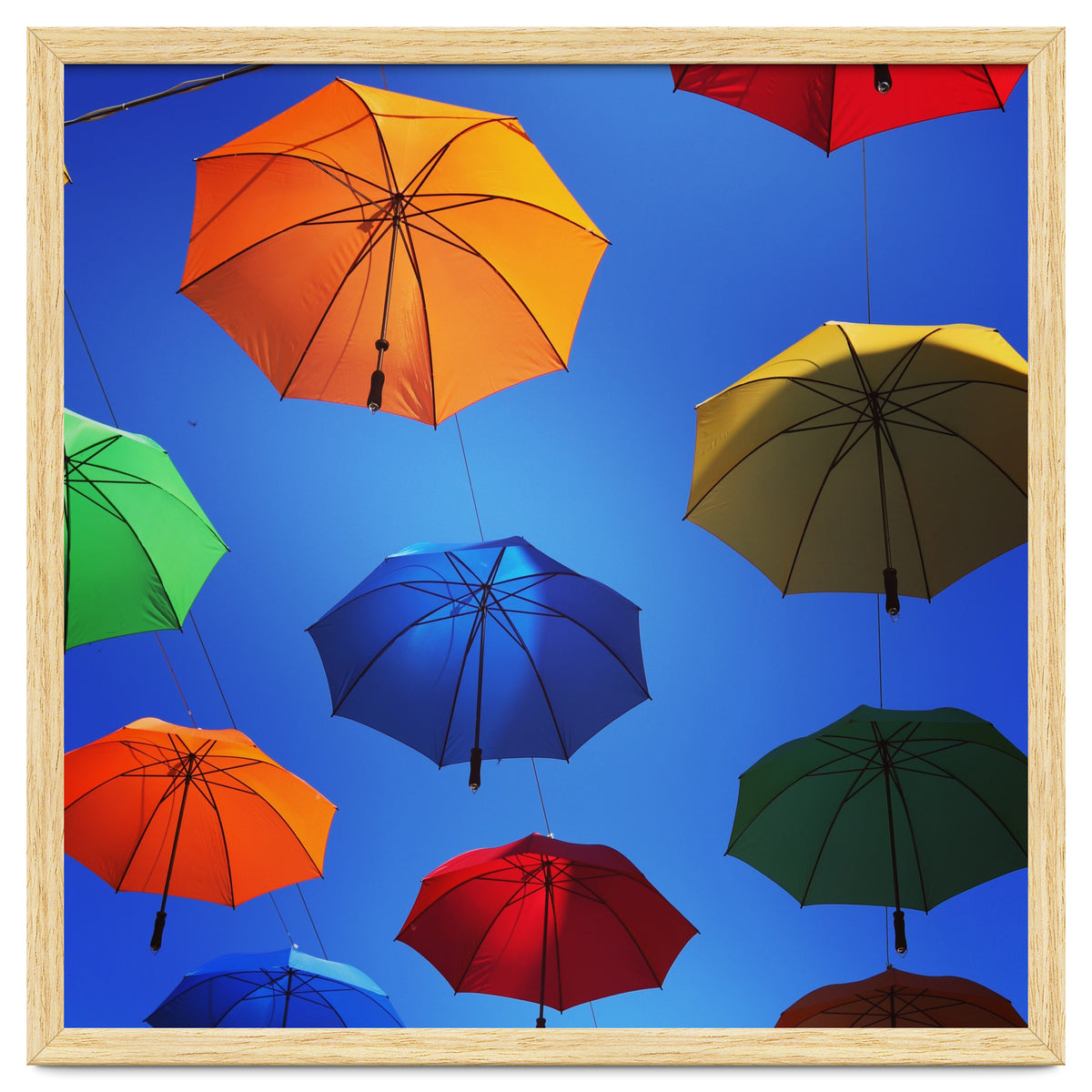 Rainbow umbrellas