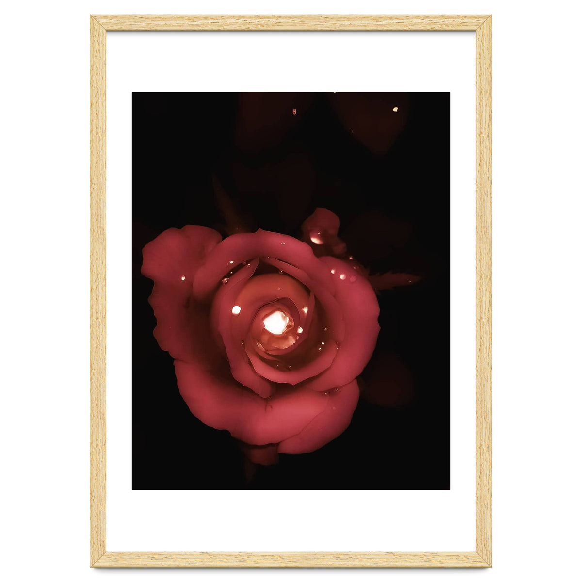 Lighting Rose