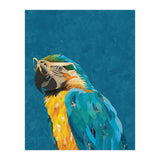 Macaw Portrait Blue Gold Glasses (Print Only) thumbnail