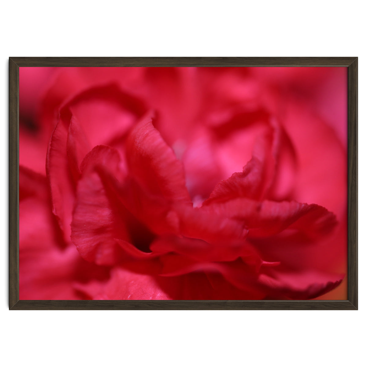 Red Peony
