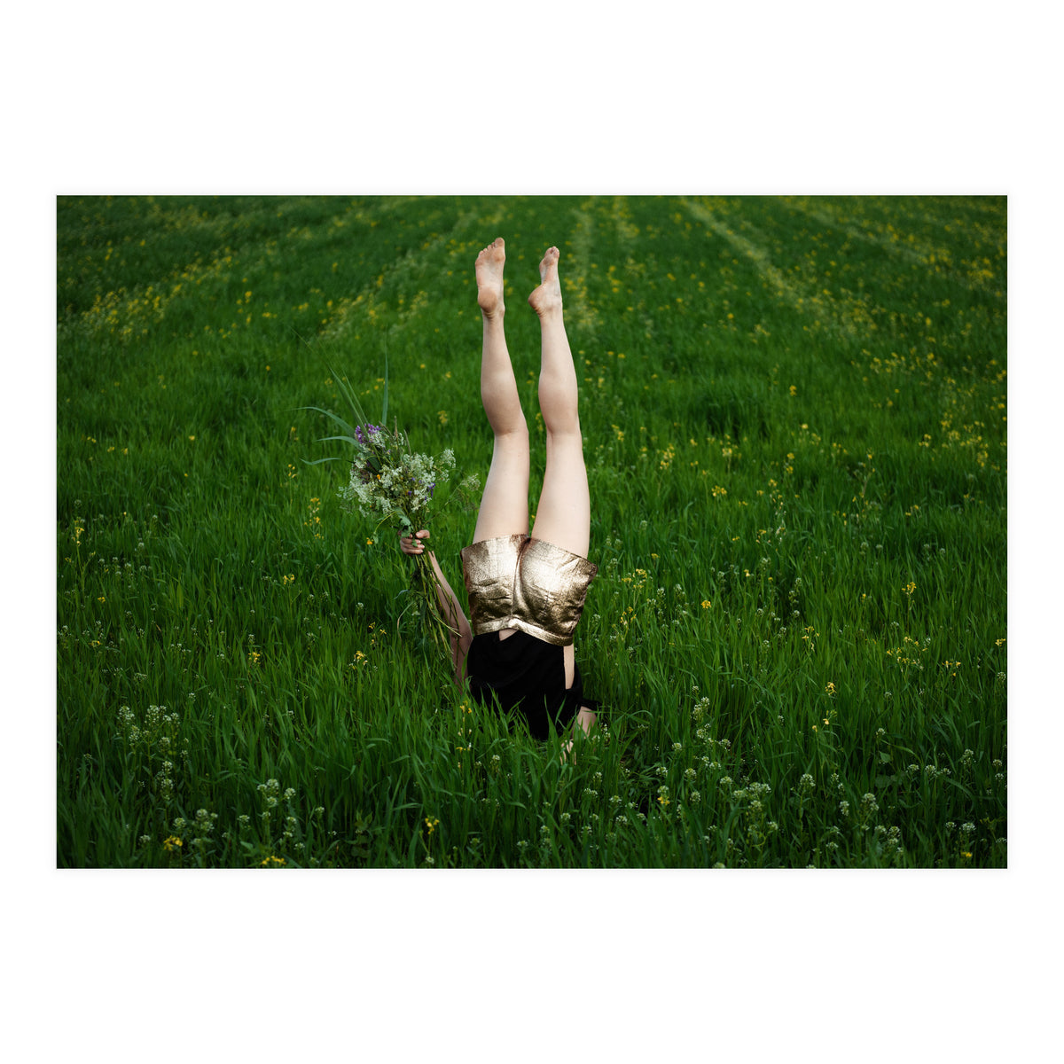 Gravity (Print Only)