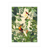 Green Jungle Toucans (Print Only) thumbnail