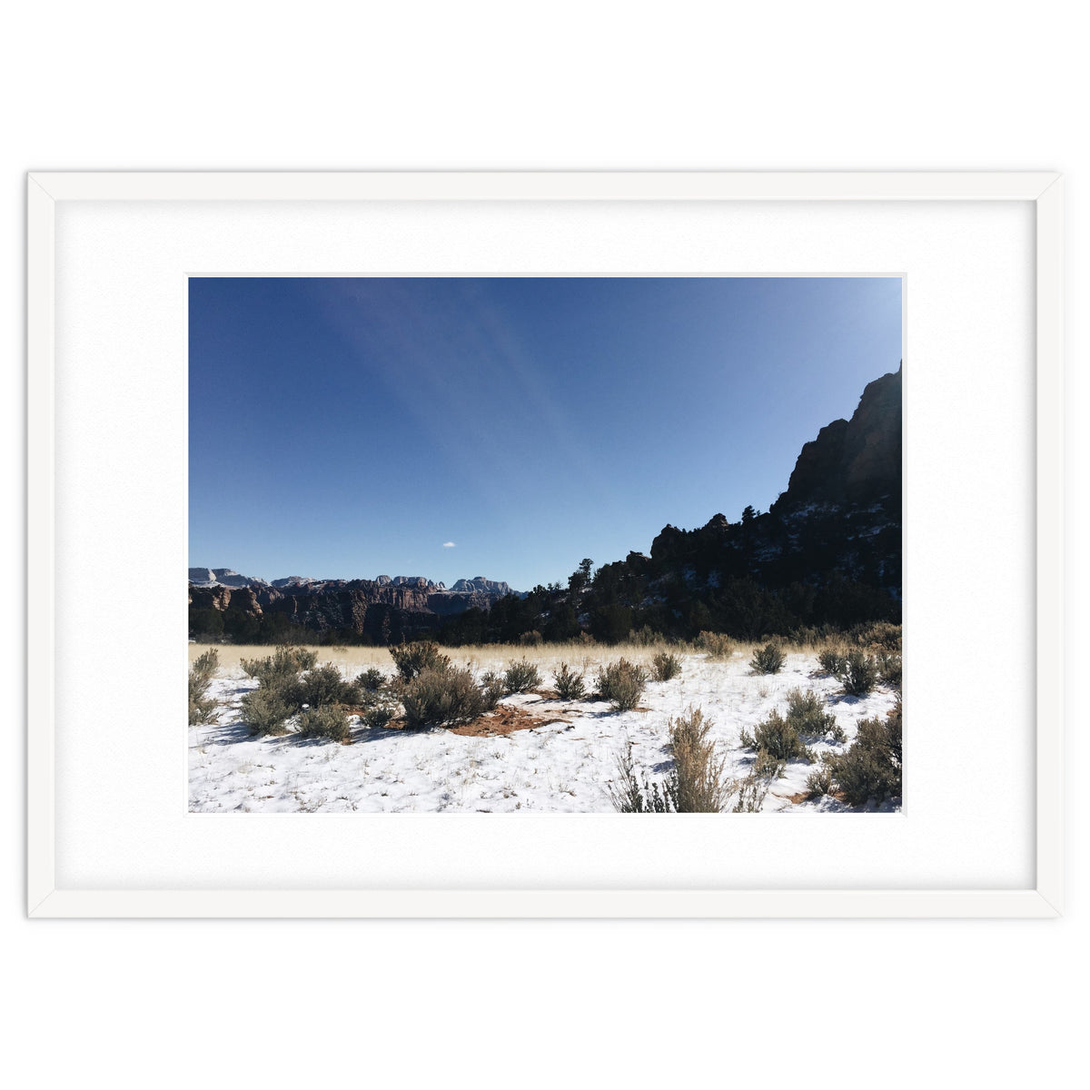 Zion National Park II