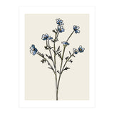 Bunch II (Print Only) thumbnail