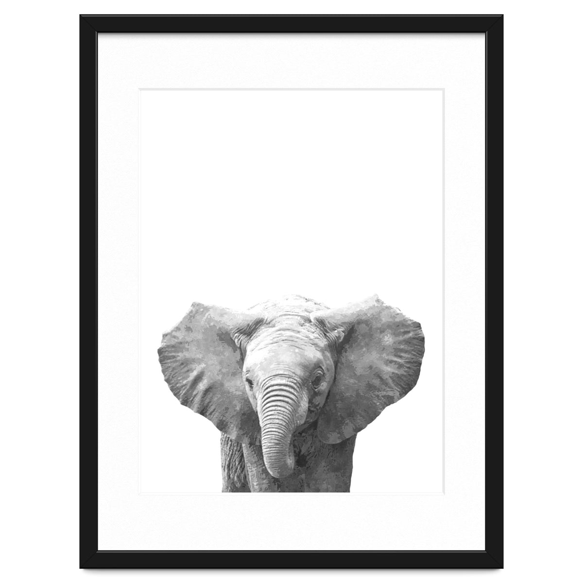 Black and White Baby Elephant