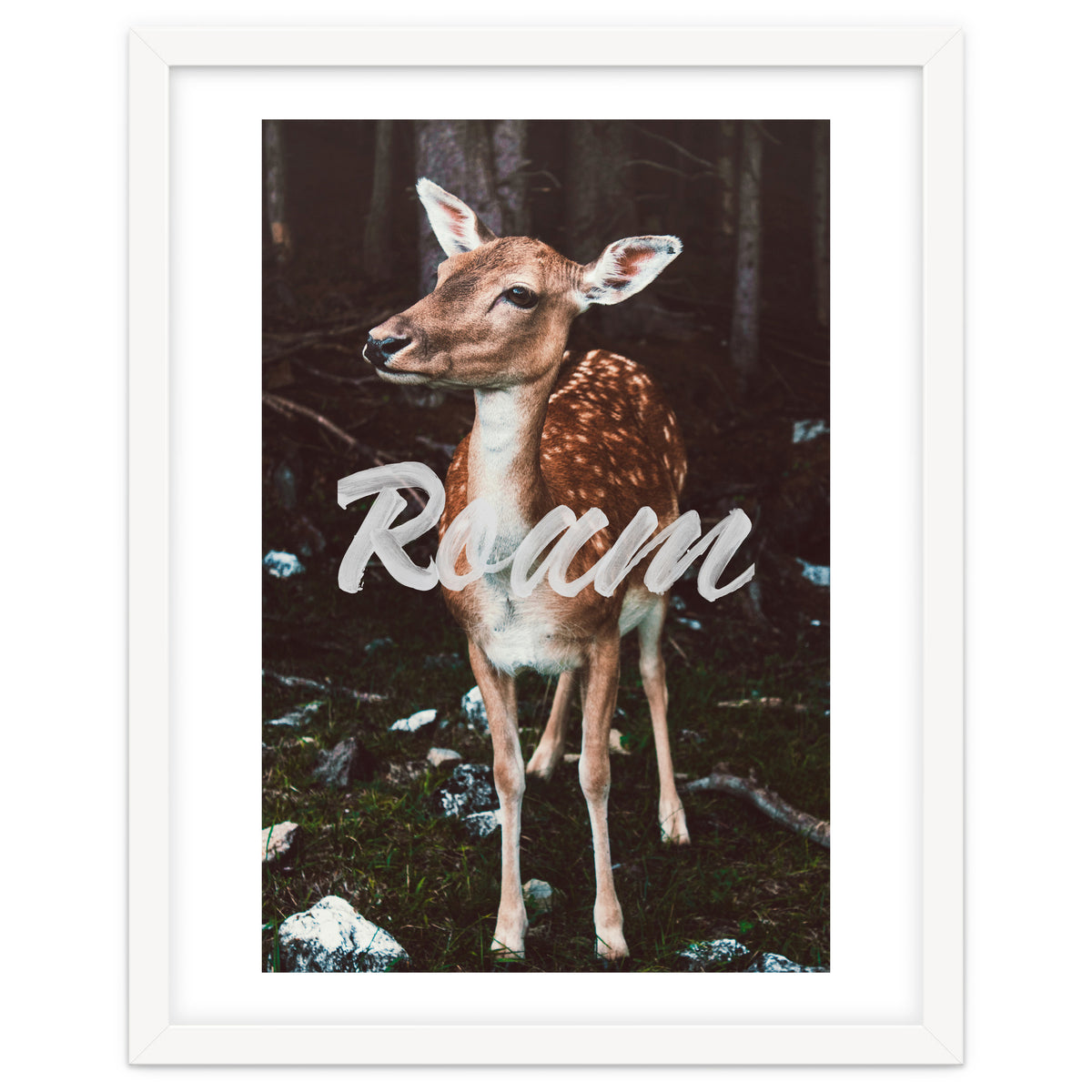 Roam