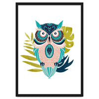 Moon Eyed Owl