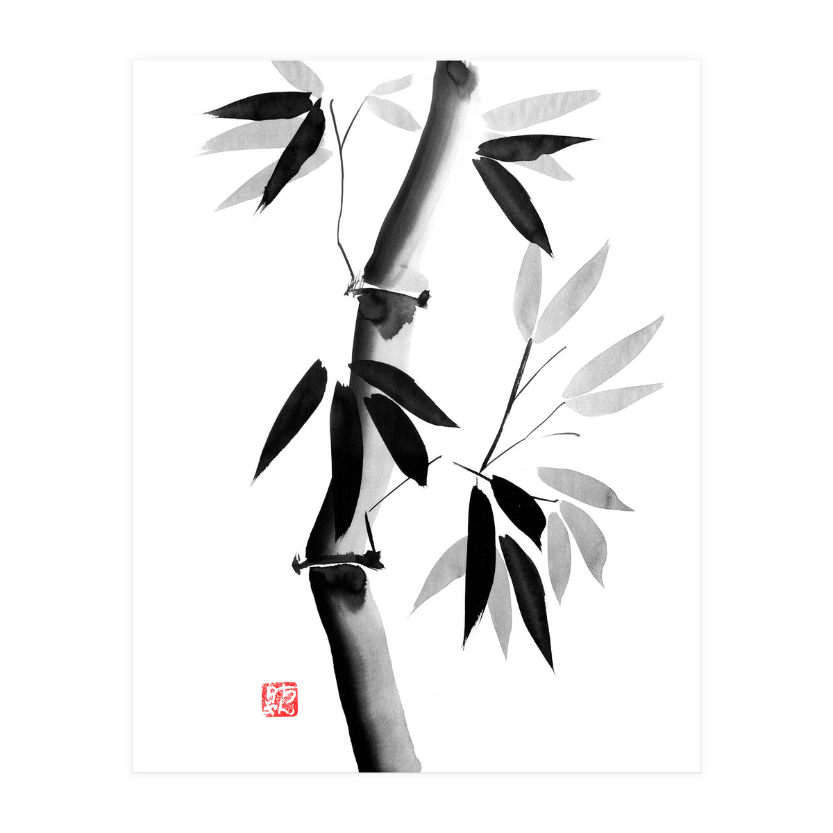 Bamboo 03 (Print Only)