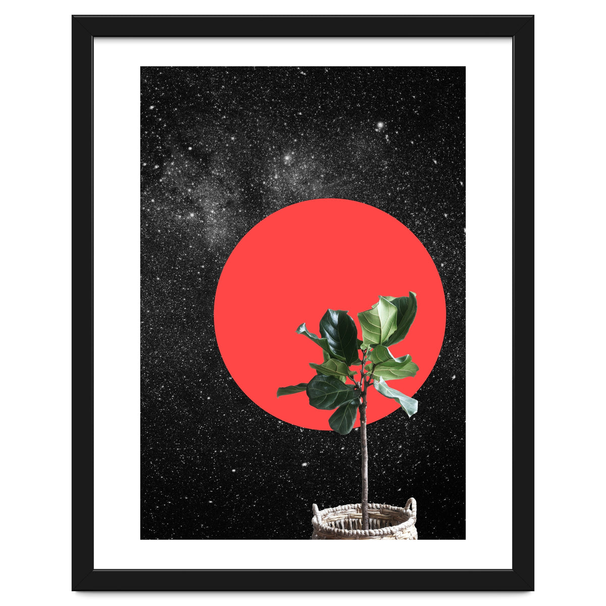 "Bonsai" - Digital Collage