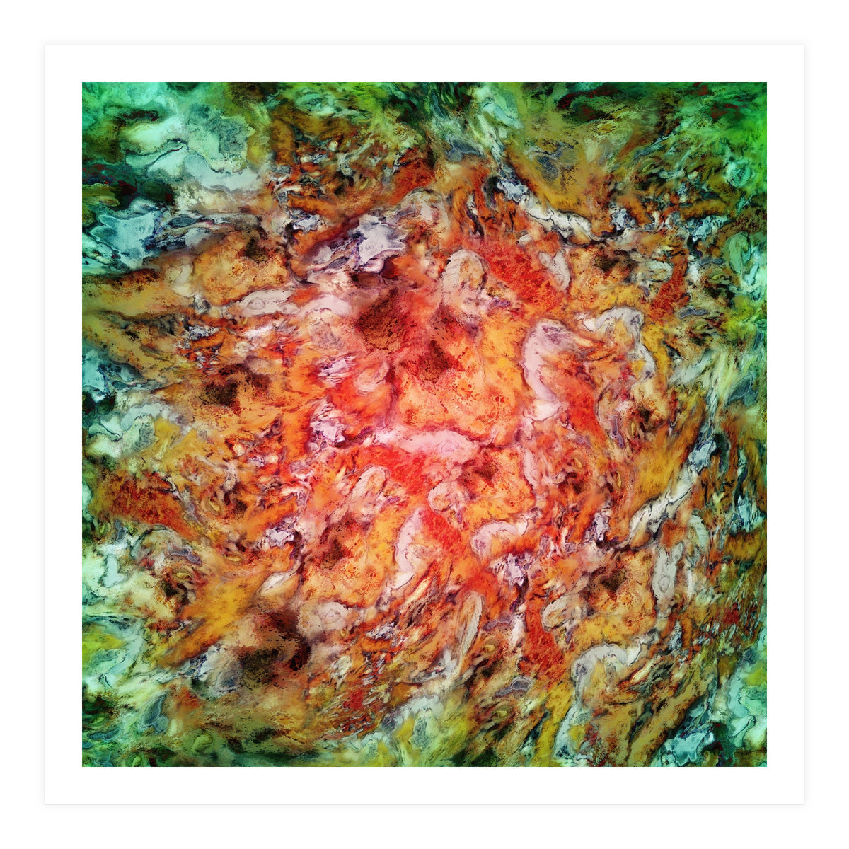 The Beautiful Evidence (Print Only)