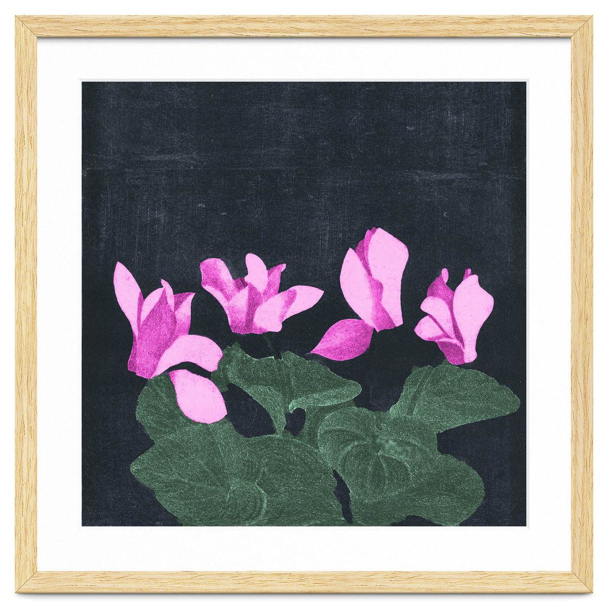 Cyclamen