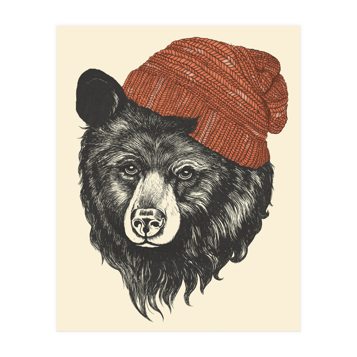 Zissou The Bear (Print Only)