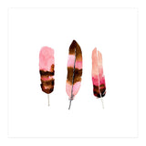 Blush Feathers (Print Only) thumbnail