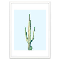 Loner Cactus