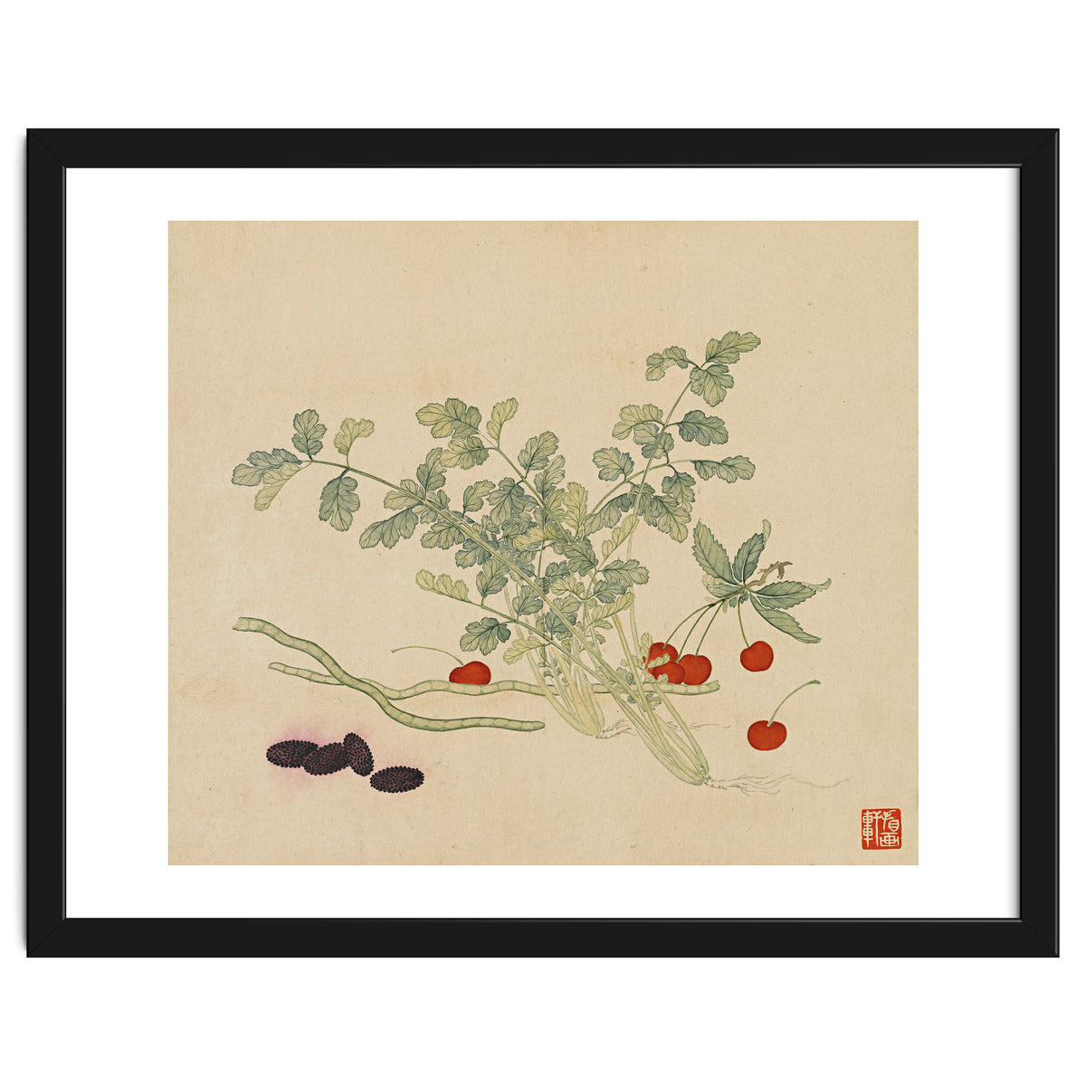 Wang Chengyu~flowers And Vegetables, Vegetables, Fruits, Beans, Red Beans, Cherries, Celery
