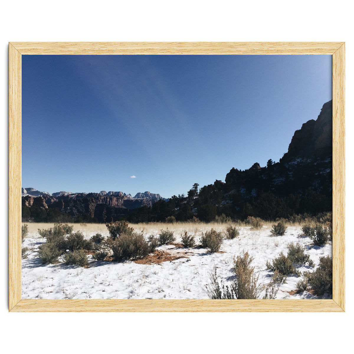 Zion National Park II