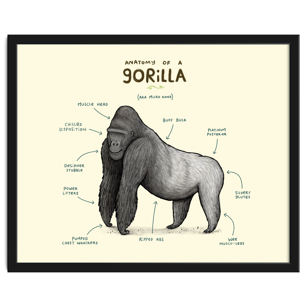 Anatomy of a Gorilla