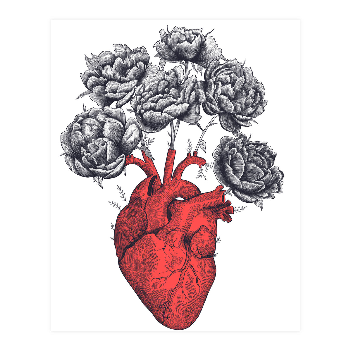 Heart With Peonies (Print Only)