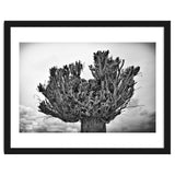 Cut down tree top thumbnail